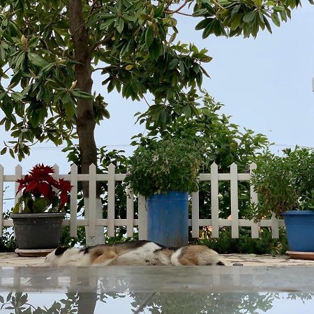 Holiday Home Ali Piqeras Bagian luar foto