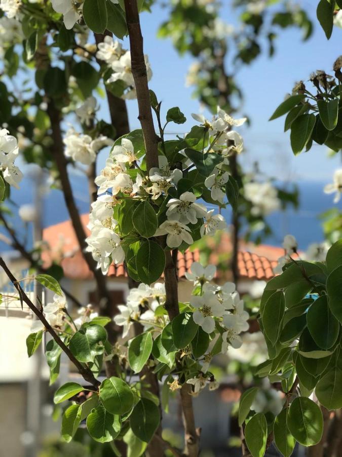 Holiday Home Ali Piqeras Bagian luar foto